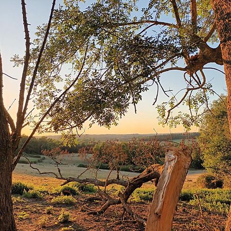 Gite Aux Bois D'En Temps Lunas  Pokoj fotografie
