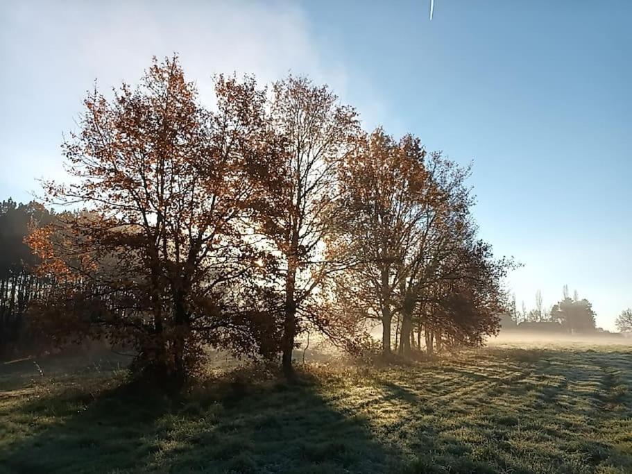 Gite Aux Bois D'En Temps Lunas  Exteriér fotografie