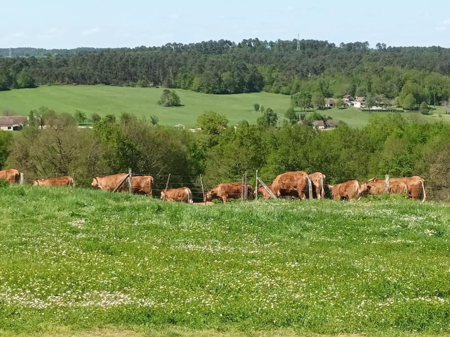 Gite Aux Bois D'En Temps Lunas  Exteriér fotografie