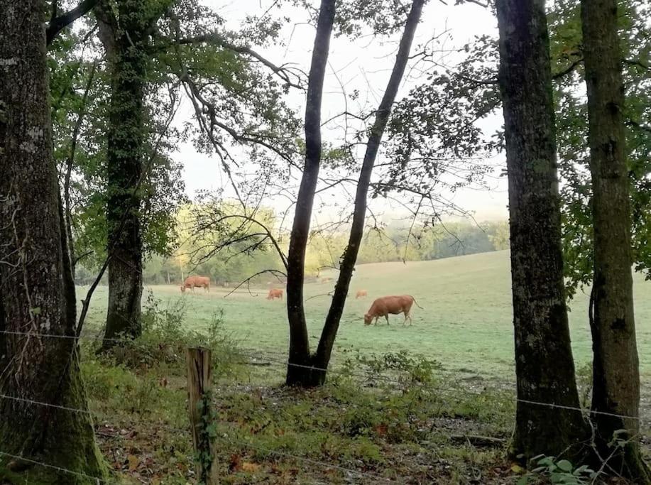 Gite Aux Bois D'En Temps Lunas  Exteriér fotografie