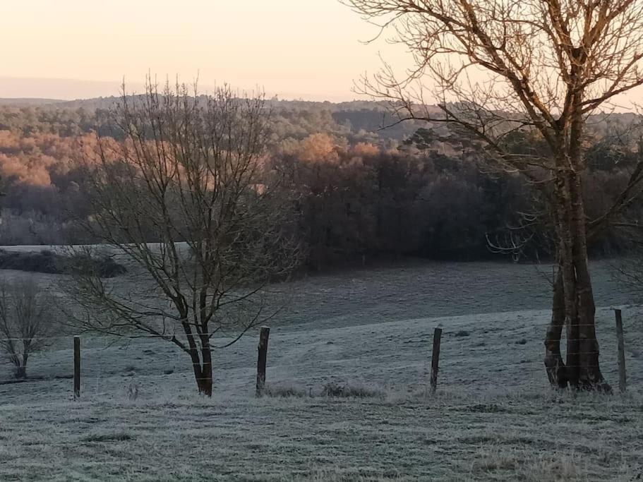 Gite Aux Bois D'En Temps Lunas  Exteriér fotografie
