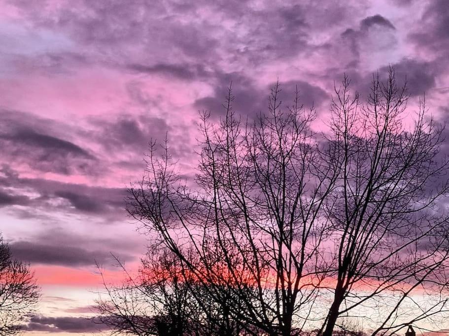 Gite Aux Bois D'En Temps Lunas  Exteriér fotografie